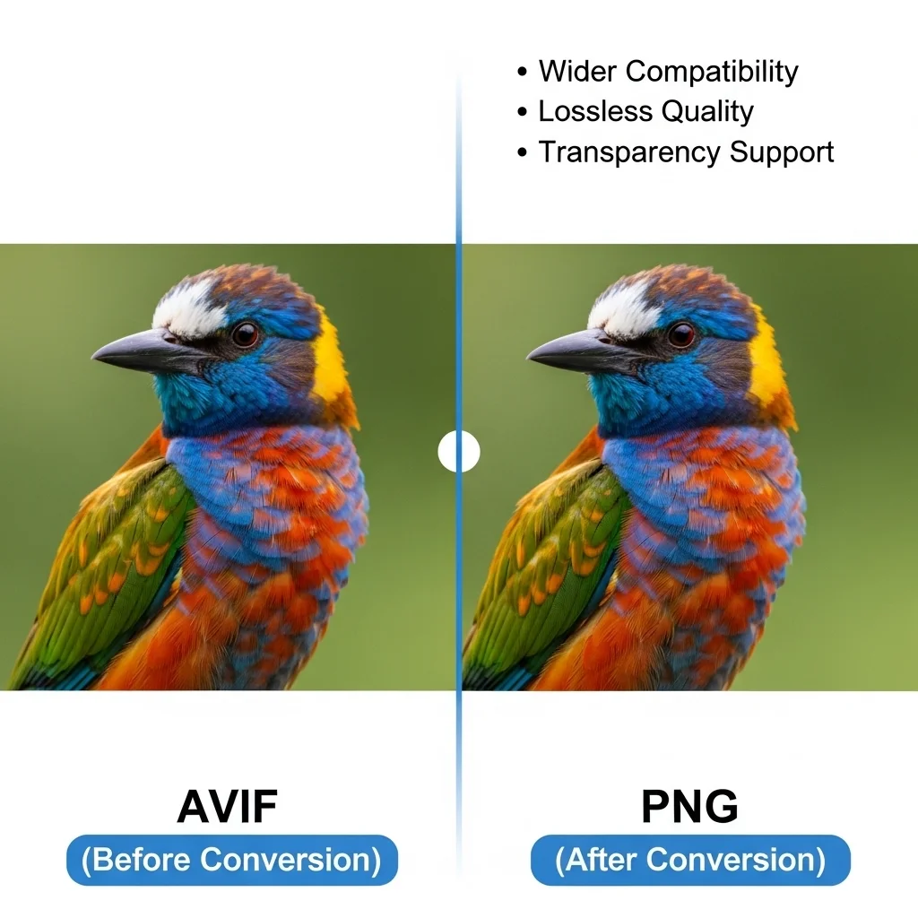AVIF to PNG converter benefits showing universal compatibility and lossless quality conversion